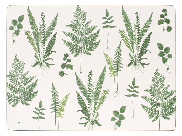 Fern Pack of 4 Corkback Placemats White
