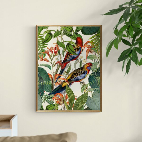Exotic Jungle Birds by andrea Haase Framed Print MultiColoured