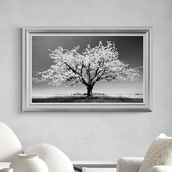 Blossom Tree White by Peter Wey Framed Print Black and white