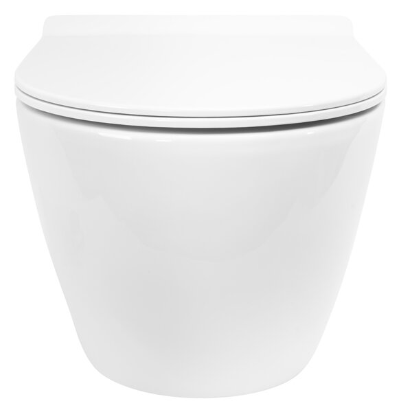 Toilet bowl Rea Carter Tornado