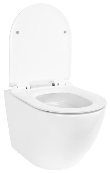 Toilet bowl Rea Carter Tornado