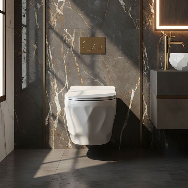 Toilet bowl Rea Gustavo Rimless