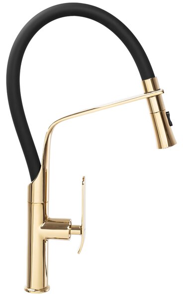 Kitchen faucet Castor gold