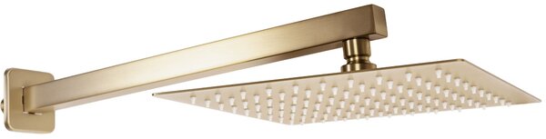 Built-in shower set Rea Parker BRUSH GOLD BOX