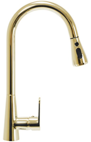 Kitchen faucet Mild gold