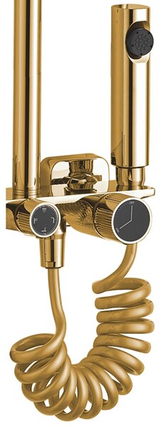 Shower set REA HELIX Gold