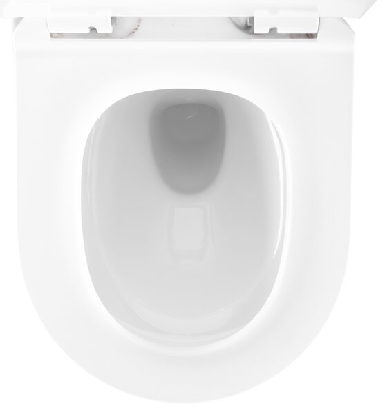 Toilet bowl Rea Carter Tornado Aiax Shiny