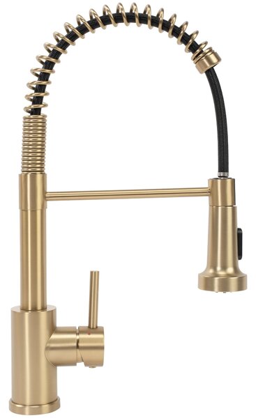 Kitchen faucet REA Colin Brush Gold