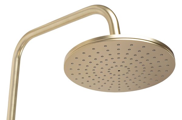 Shower set with thermostat Rea PAROT BRUSHED GOLD