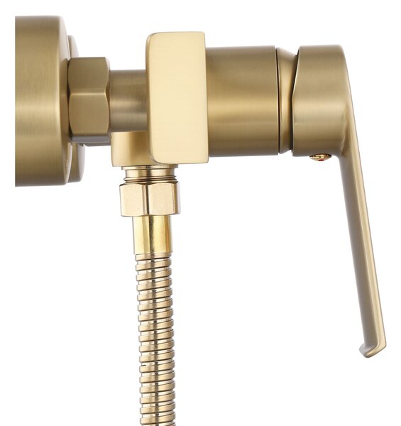 Shower faucet REA Hass Brush Gold