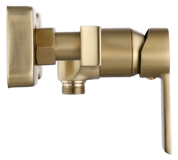 Shower faucet REA ARGUS Brush Gold