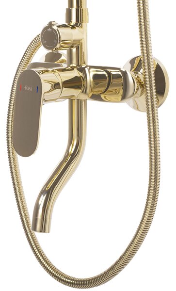 Shower set REA SALTON GOLD