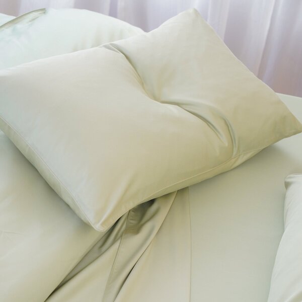 Ella Cotton - White Pillowcases Pair, Standard / Sage