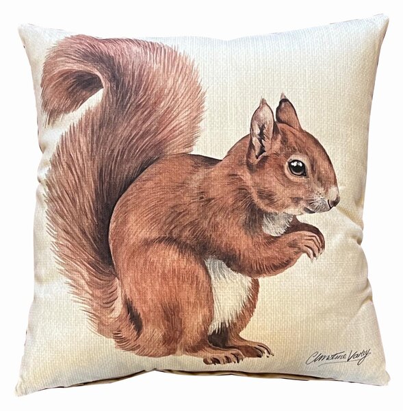 Daro Red Squirrel Square Cushion