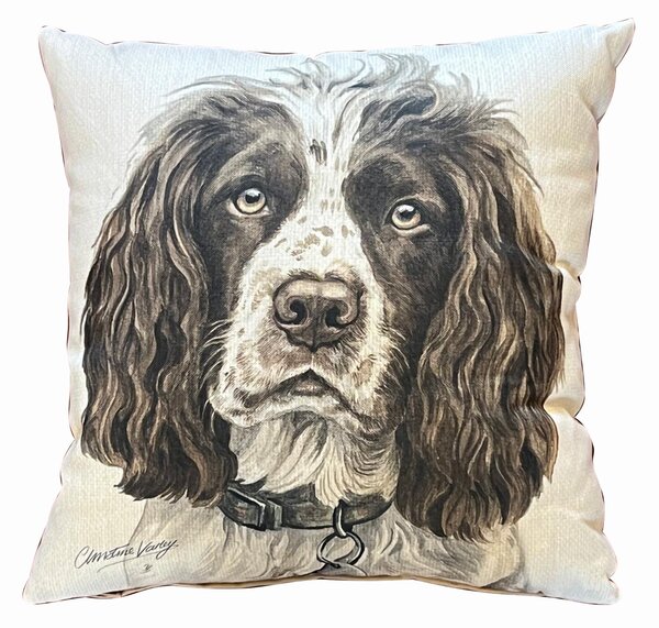 Daro Springer Spaniel Square Cushion