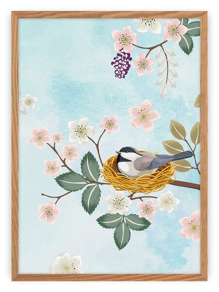 Bird picture