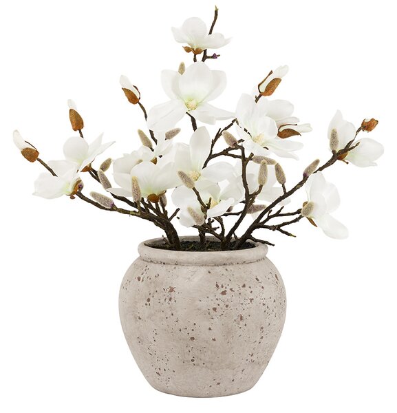 Magnolia Arrangement in Vase