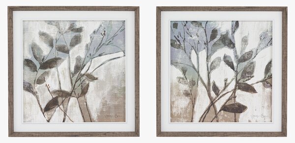 Botanic Elegance Wall Art, Set of 2
