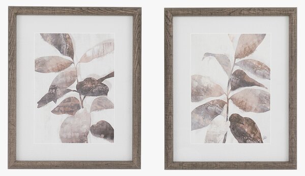 Wild Harmony Wall Art, Set of 2