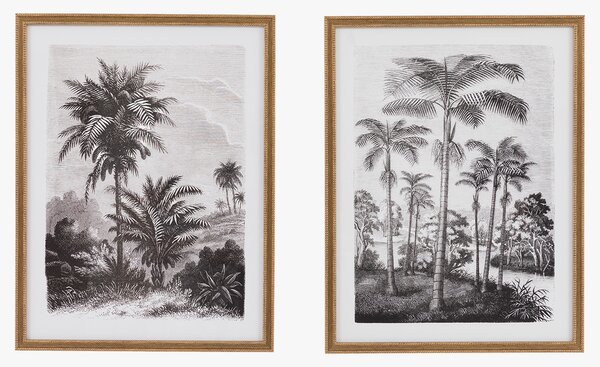 Palm Tree Sketches Wall Art, Set of 2