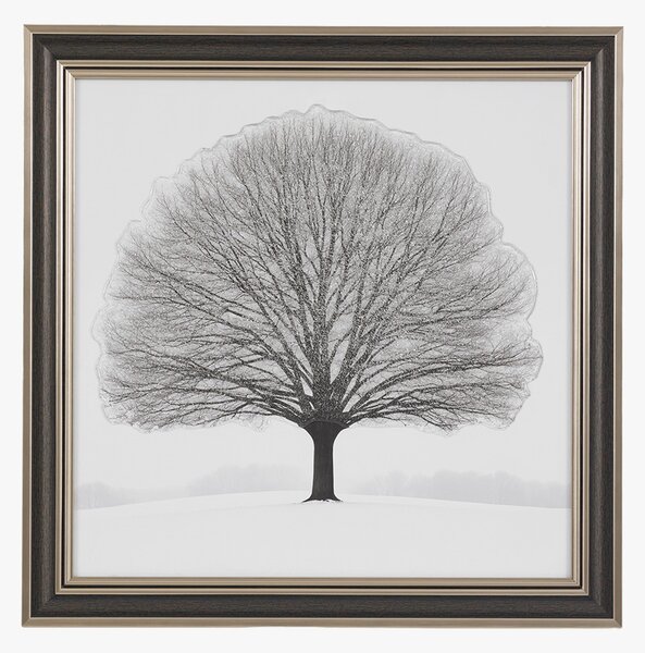 Winter Grace Wall Art