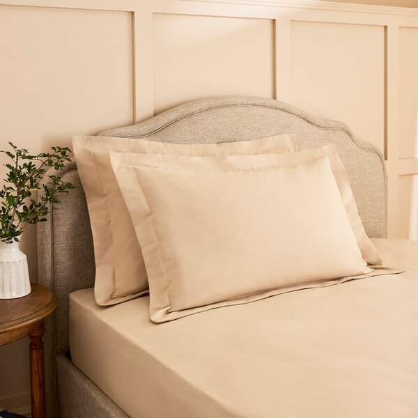 Dorma Premium 100% Brushed Cotton Oxford Pillowcase Pair Camel