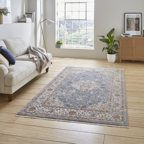 Vintage 35013 Traditional Rug Blue Terracotta