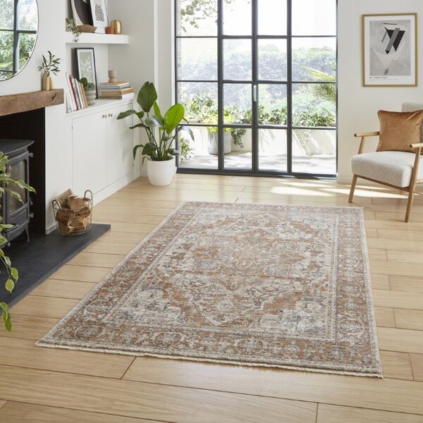 Vintage 35018 Traditional Rug Terracotta