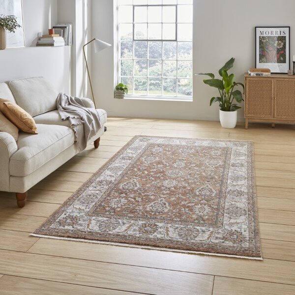 Vintage 35027 Traditional Rug Terracotta