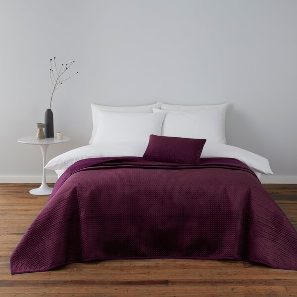 Violet Plum Cushion Plum Purple