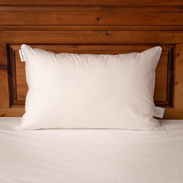 White Duck Down and Feather Pillow, Regular 50 x 75cm / Soft