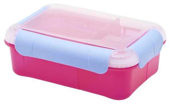 Smash Rectangular Bento Box Pink