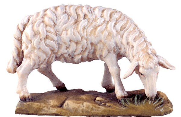Grazing sheep for nativity scene - farm