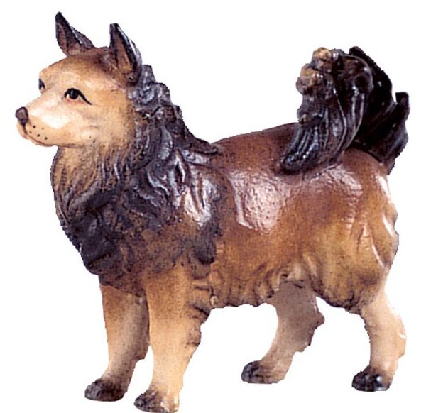 Spitzdog for nativity - dolomite