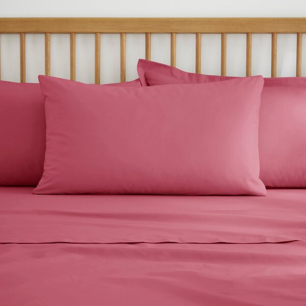 Pure Cotton Plain Dye Kingsize Standard Pillowcase Rhubarb