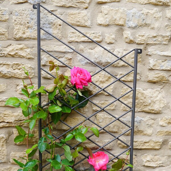 Outdoor Linear Trellis