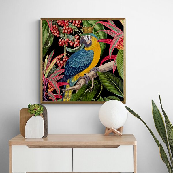 Parrot King I Framed Print Gold
