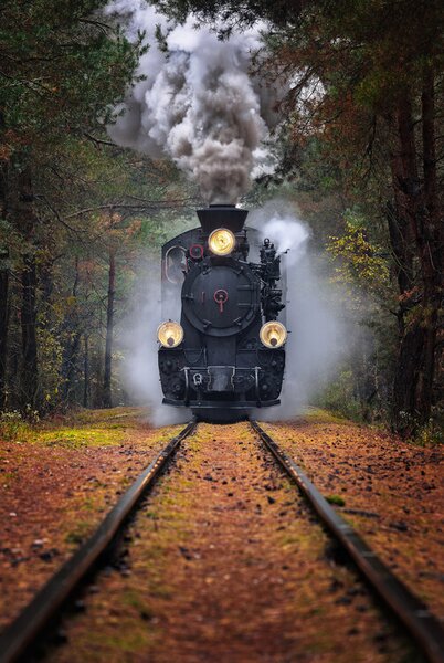 Photography Through the autumn forest, Rafal R. Nebelski