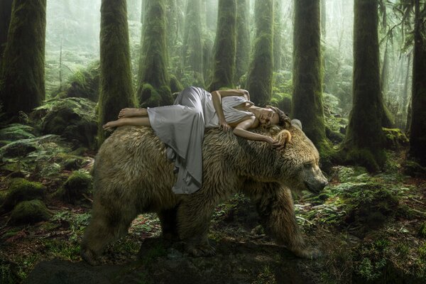 Photography Dream Bear, Marcel Egger