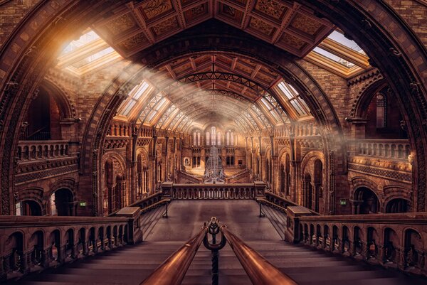 Photography Natural History Museum - London, Hernan Calderon Velasco