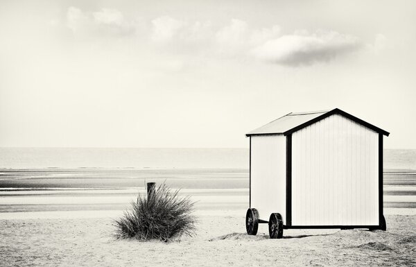 Photography End of season, Gilbert Claes