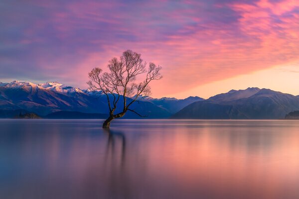 Photography Pastel evening, Jianping Yang