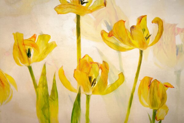 Illustration Flowering tulips, Nel Talen, (40 x 26.7 cm)