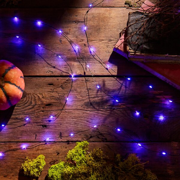 50 LED String Lights Purple