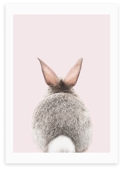 Baby Bunny Tail Print Pink