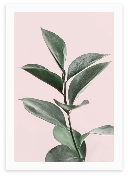 Foliage Print Pink/Green
