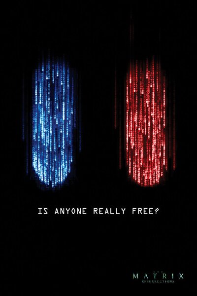 XXL Poster Matrix - Is anyone really free?