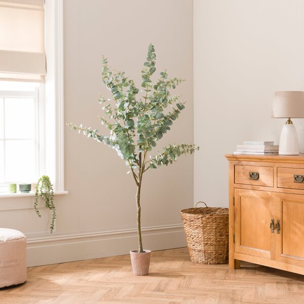 Artificial Eucalyptus Tree in Orange Cement Plant Pot