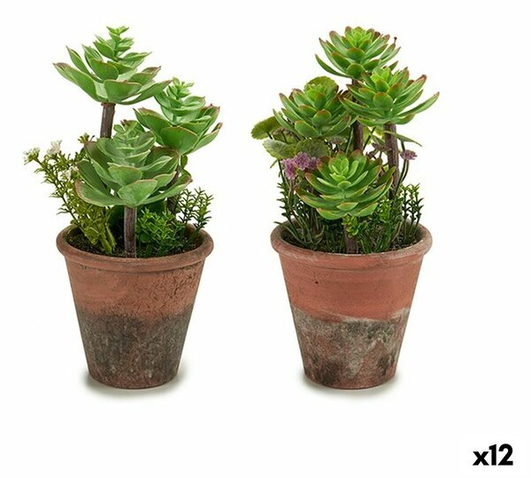 Decorative Plant Succulent Plastic 16 x 23 x 16 cm (12 Units)