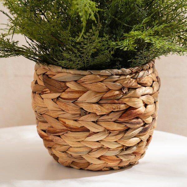 Artificial Fern in Basket